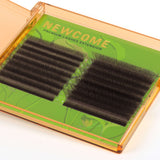 W Lashes Premade Fans (Black/Brown) 0.07MM