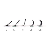 Silky Volume Lashes Extension (LC, LD Curl)