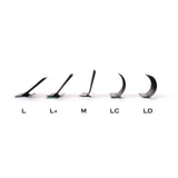 Silky Volume Lashes Extension (L, L+ Curl)