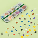 12 Grids Mix Color Shape Lash Sequins for Lash Nail Art