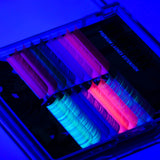Neon Crystal Rainbow Lashes Mixed Color 0.07MM newcomelashes